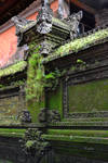 Balinese Living Wall by MayEbony