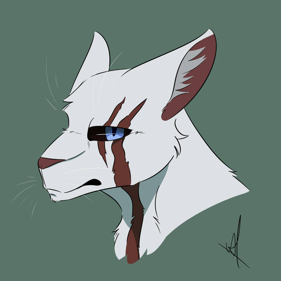 Snowtuft Warrior cats Snowtuft by Alpha01256 on DeviantArt