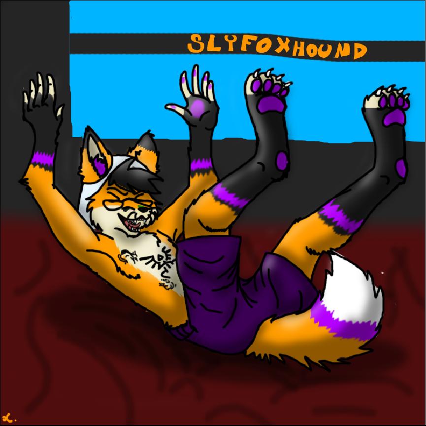 slyfoxhound furry