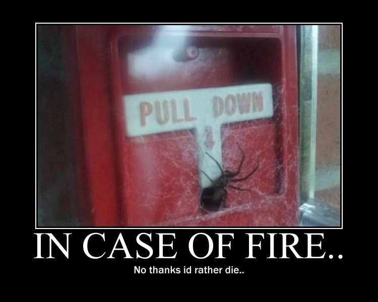 In case of fire..