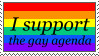 I Support the Gay Agenda