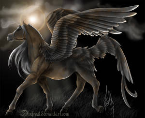 DarkSun Pegasus