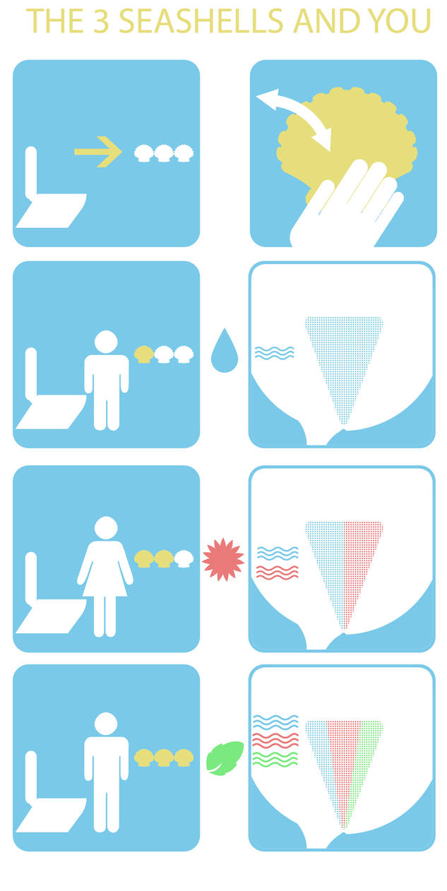 Three Shells Infographic the 3 seashells by hugeackman on DeviantArt