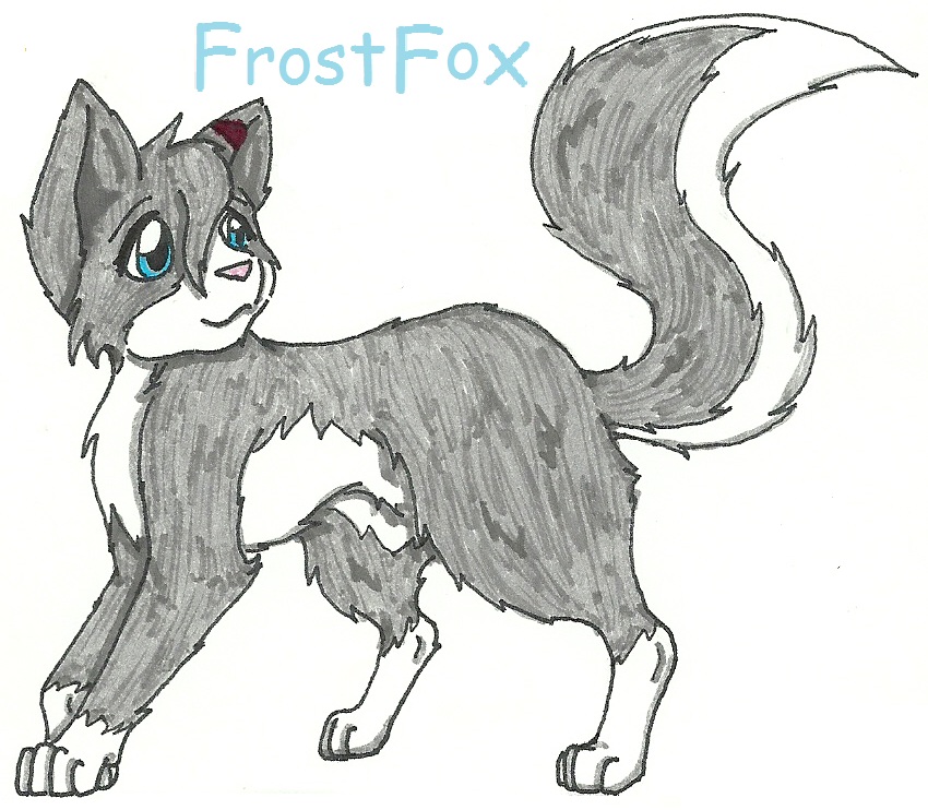 FrostFox Character Sheet