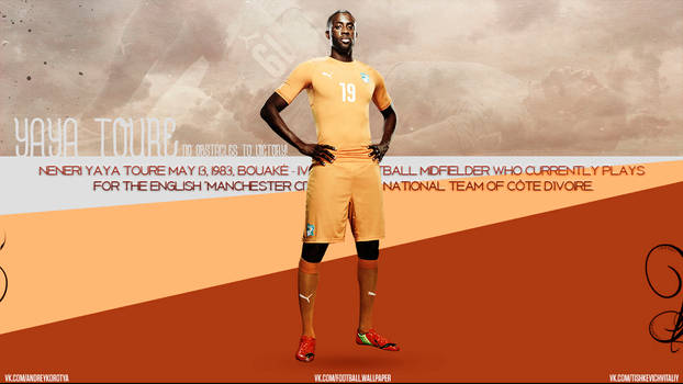 Yaya Toure | FIFA world cup