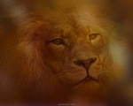 panthera leo by HippieVan57