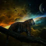 Suma's Dream
