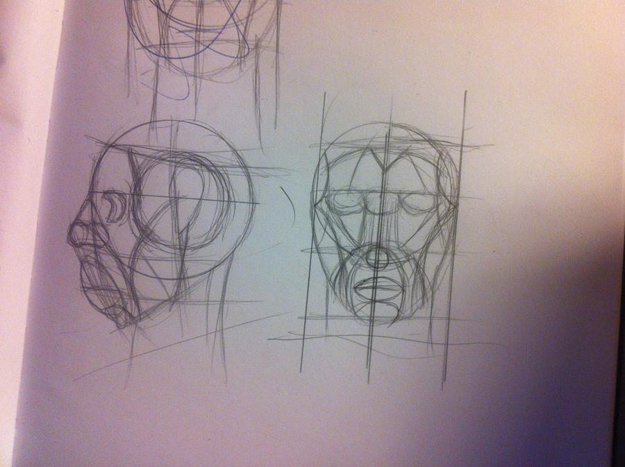 Module Face Drawing Face by learningmaster001 on DeviantArt