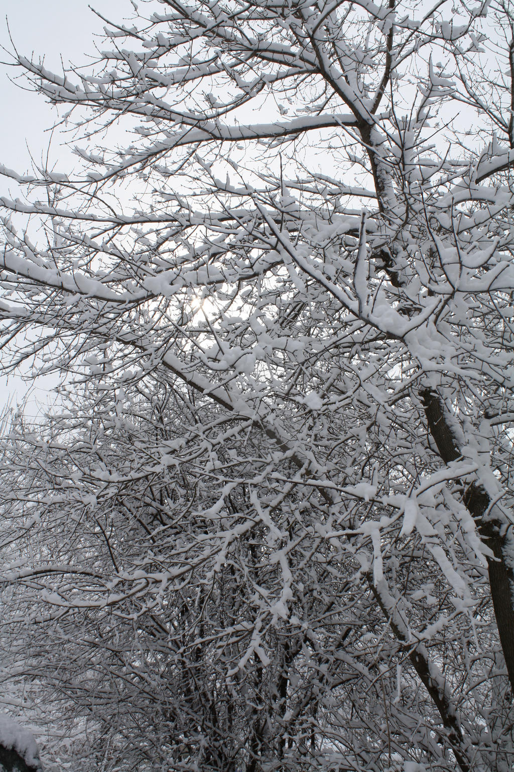 winter in Wisconsin