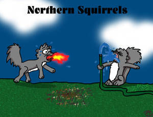 Northern Squirrels