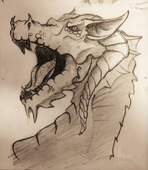 Graphite Dragon