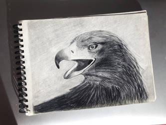 Explore the Best Aguila Art | DeviantArt