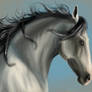 Silver speed