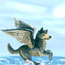 Wings and Water