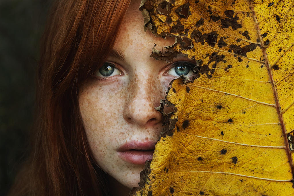 Autumnus et folium by LiliiaBeda Autumnus et folium by LiliiaBeda