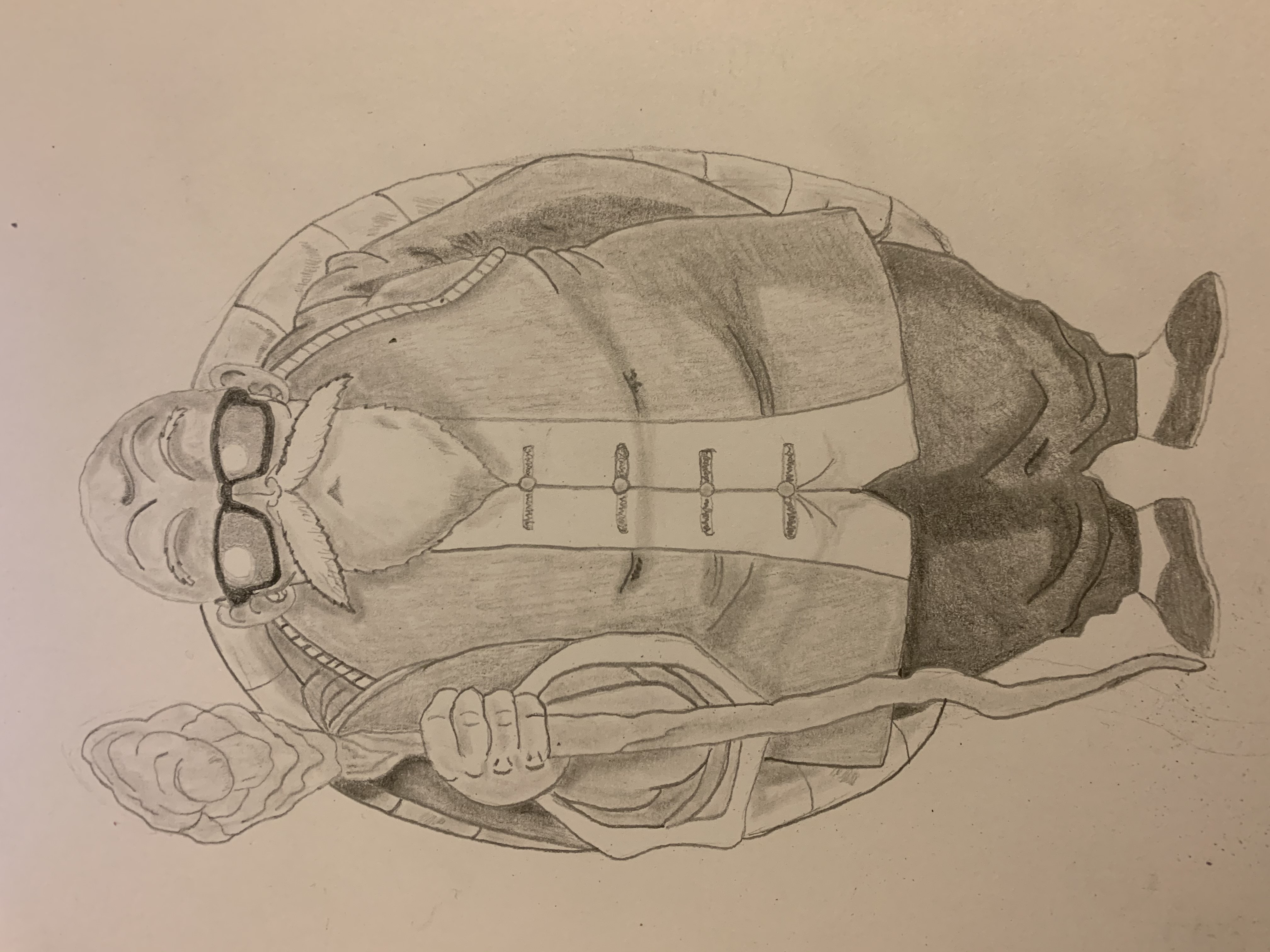 Maestro Roshi Drawing Master roshi by ryzzie89 on DeviantArt