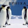 Ephixa Penguin