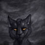 Ravenpaw - The Day Has Come