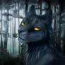 Prince of the Dark Forest - Breezepelt