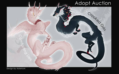 Dragon Adopts Auction