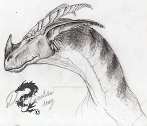 Dragon sketch