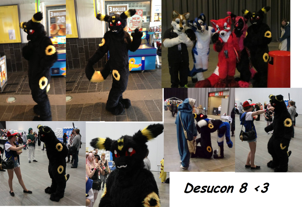 Desucon 8 - 2013