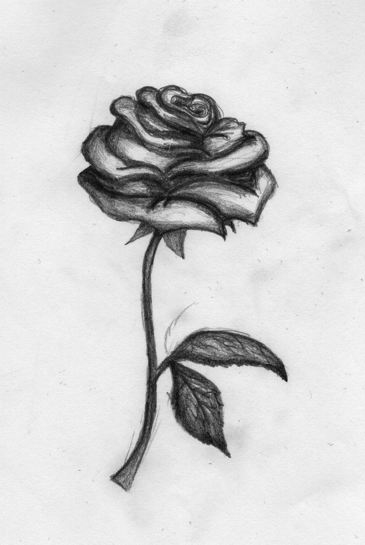 The Enchanted Rose Beauty And The Beast By Sairinaingolma On Deviantart The Enchanted Rose Beauty And The Beast By Sairinaingolma On Deviantart