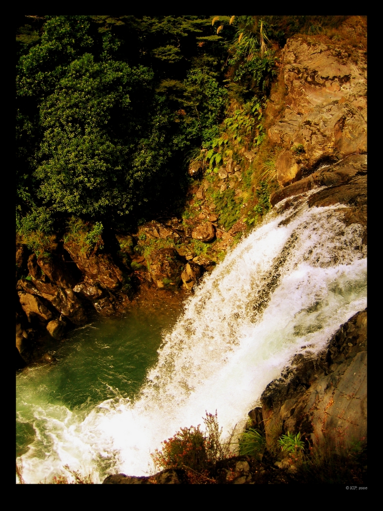 Water and greens