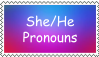 She/He Pronouns stamp