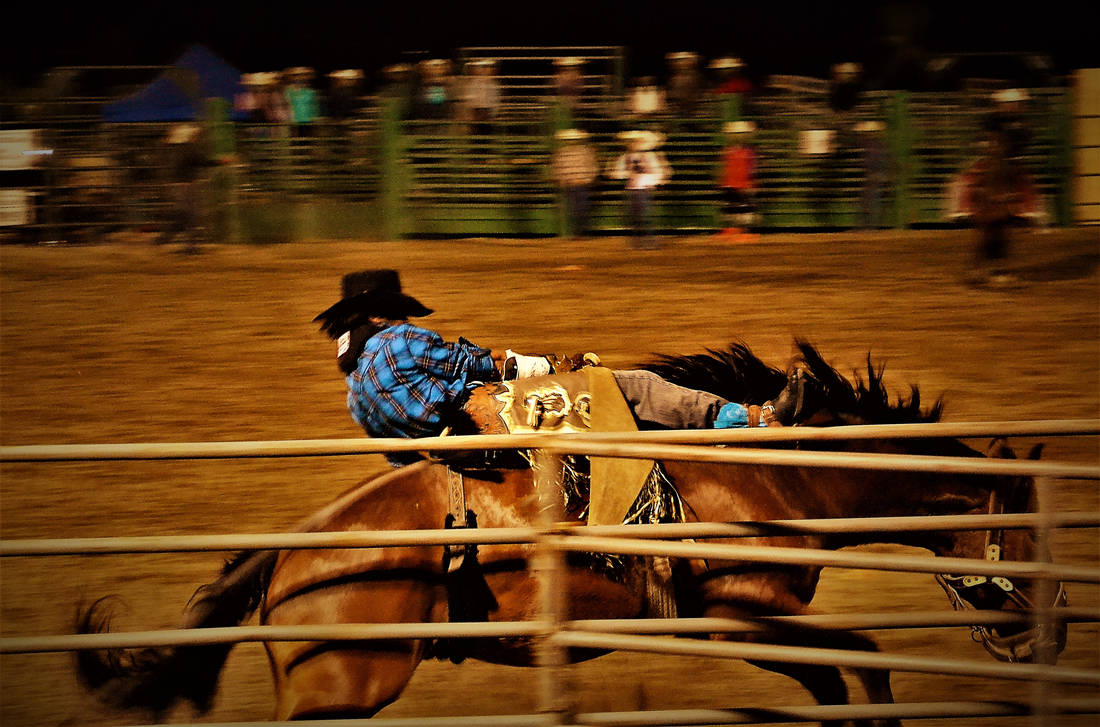 Rodeo fast by jmphotography541