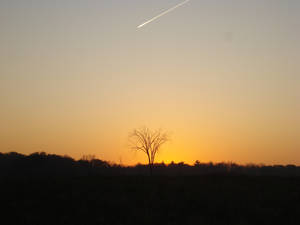 Sunset at Bronte Park