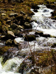 Schluchsee Wasserfall