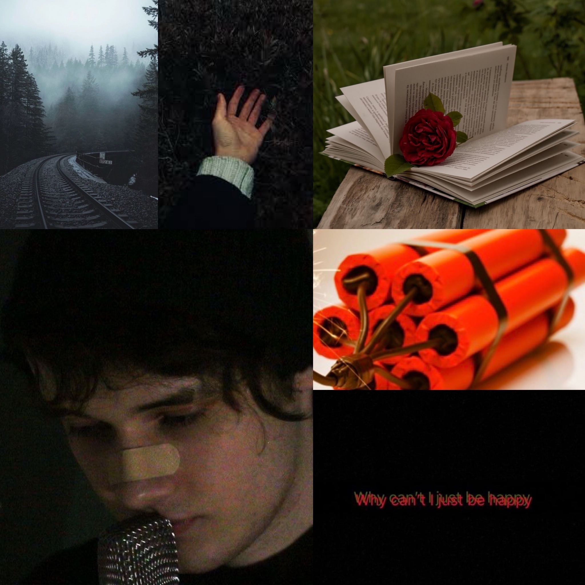 C!Wilbur Aesthetic