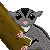 Day 1: Suggie