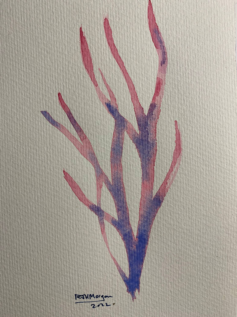 Plant Deviantart Plant 12 by Johnhunt407 on DeviantArt