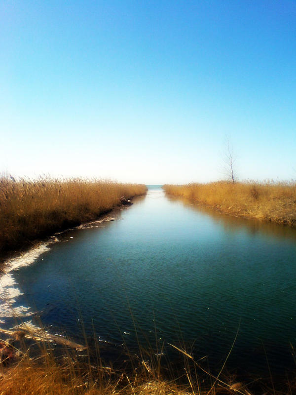 Among the Reeds by sores-of-the-heart on DeviantArt