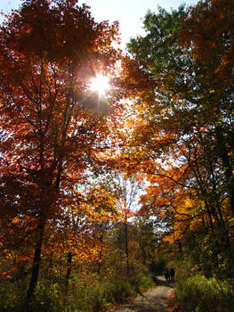 Rondeau in Fall