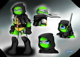 Asahi / Michelangelo