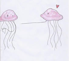 jellyfish love