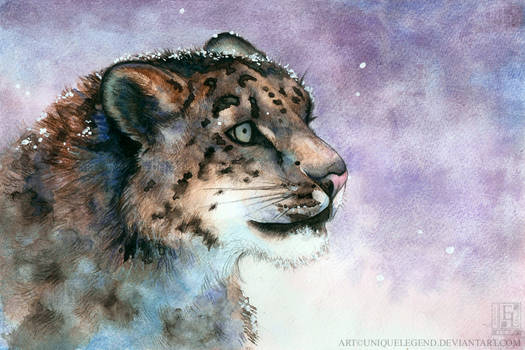 Snow Leopard