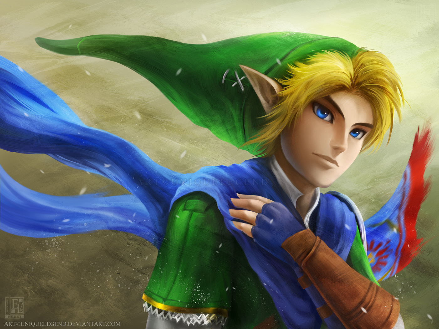 Link - Hyrule Warriors 2