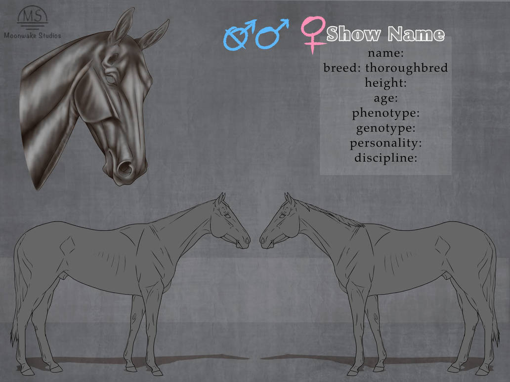 Thoroughbred reference sheet by MoonwakeStudios on DeviantArt