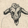 Ox Skull - in progress -