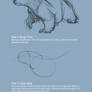 How to Draw a Polar Bear