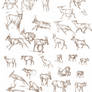 Caribou sketches