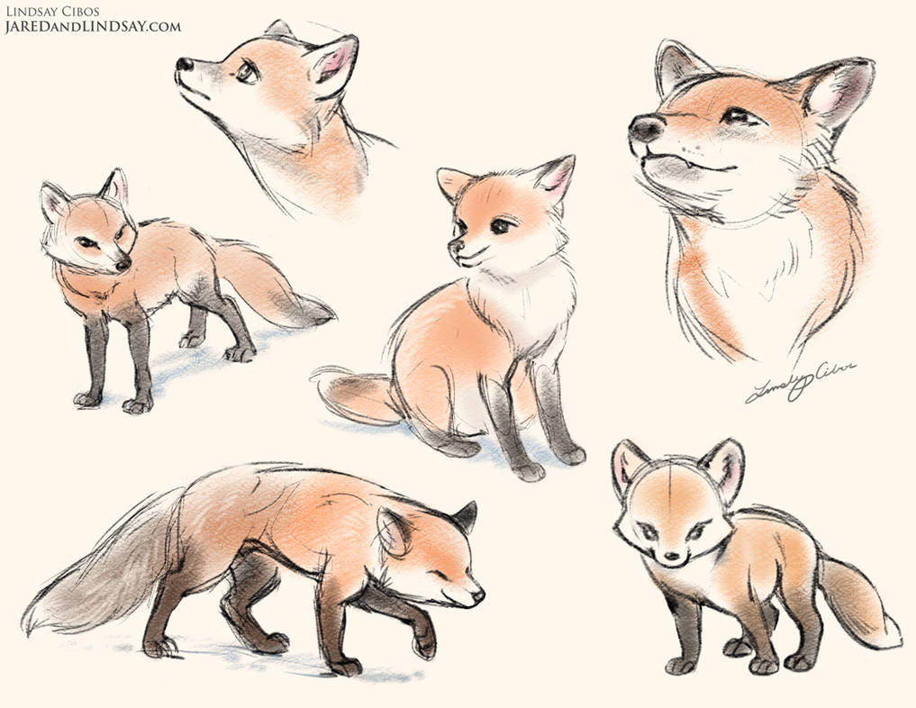 Foxes by LCibos