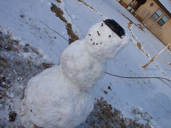 Snowman in New Mexico