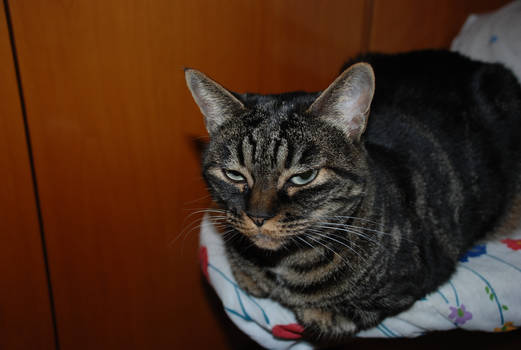 Oh no.. are you serious?