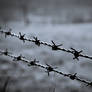 Barbed wire II