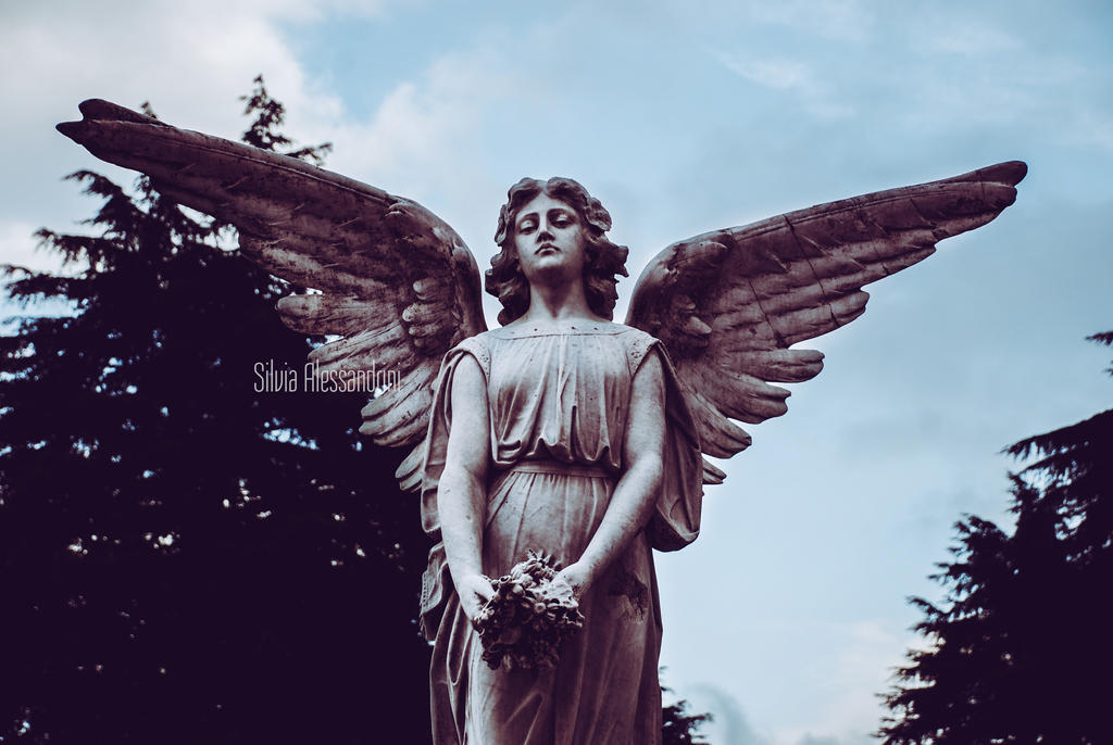 Broni cemetery by SilvieTepes on DeviantArt